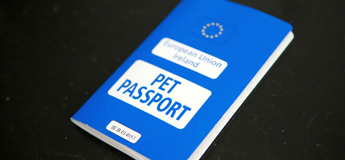 http://deisevets.ie/wp-content/uploads/2011/10/Pet-Passport-315.jpg